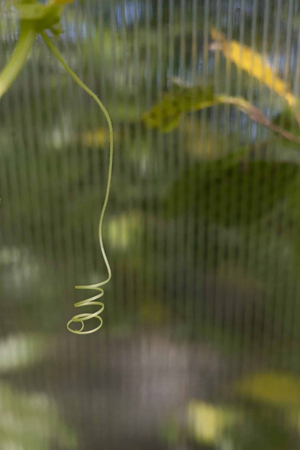 How to Tailor Financial Advice Services for Millennials in the UK?